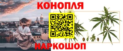 соль ск Новодвинск