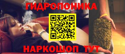 кристаллы Новозыбков