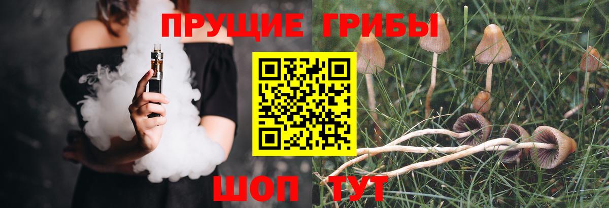 Галлюциногенные грибы MAGIC MUSHROOMS  Псилоцибиновые грибы Psilocybine cubensis  Вход с VPN  Ачинск 
